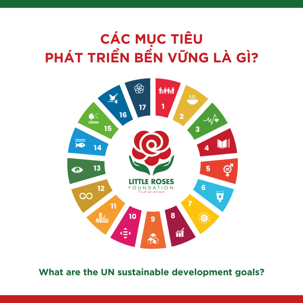 WHAT ARE THE SUSTAINABLE DEVELOPMENT GOALS?